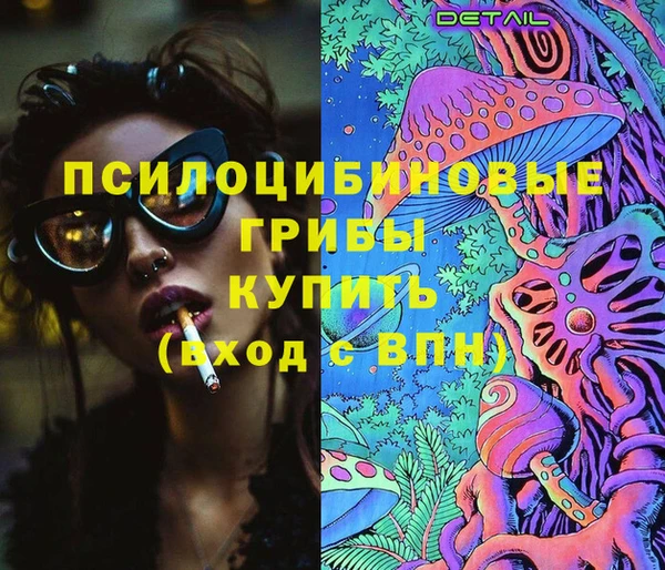 PSILOCYBIN Алексин